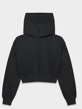 Aritzia Cozy Sweatfleece Perfect Crop Hoodie size L